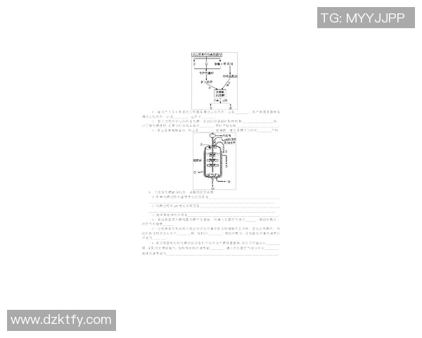 科学极限运动中的战术训练方法探讨与实践应用分析