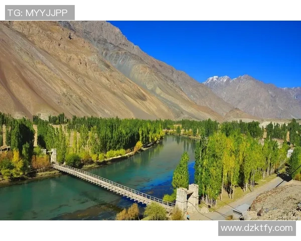 探索阿拉巴的魅力与历史：一段关于文化与自然的奇妙旅程