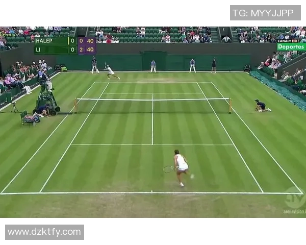 李娜与哈勒普的巅峰对决乒乓球场上的传奇较量与精彩瞬间回顾