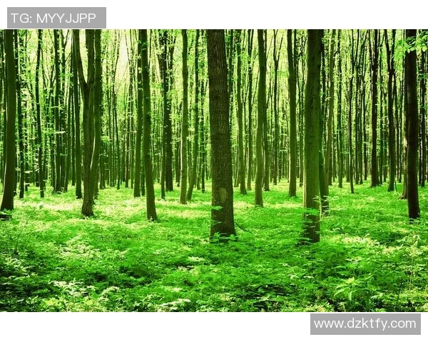 绿色森林与牛津联对决分析及胜负推荐探讨