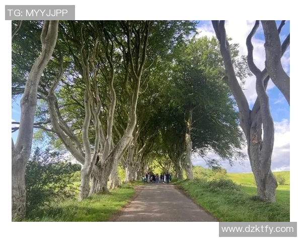 北爱尔兰与瑞士旅游攻略探秘自然风光与人文魅力